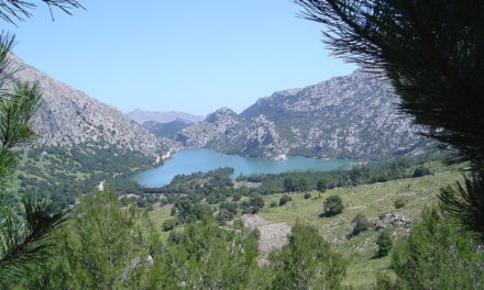 Las reservas hídricas de Baleares se sitúan en el 62% en enero, cinco puntos menos que el mes pasado