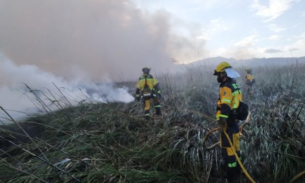 Ibanat advierte que el riesgo de incendios aumenta e informa de que se quemaron 17,46 hectáreas en Baleares hasta el 1 de julio