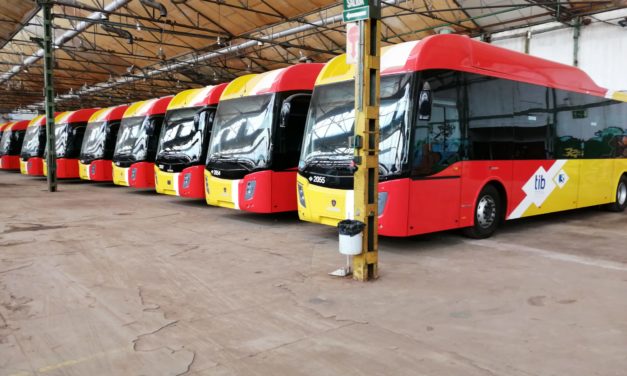 El Transporte Público de Baleares renueva su flota de autobuses