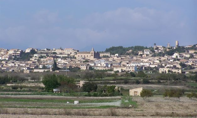 Sant Joan, Eivissa, Montuïri, Palma, Sóller y Ariany son los municipios con mayor tasa de incidencia por Coronavirus