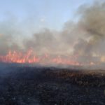 incendio Forestal