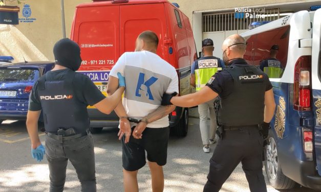 Detenidos una decena de integrantes de una organización criminal dedicada al hurto en zonas turísticas