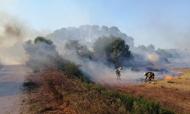 Los incendios forestales queman 113,15 hectáreas en Baleares en lo que va de año