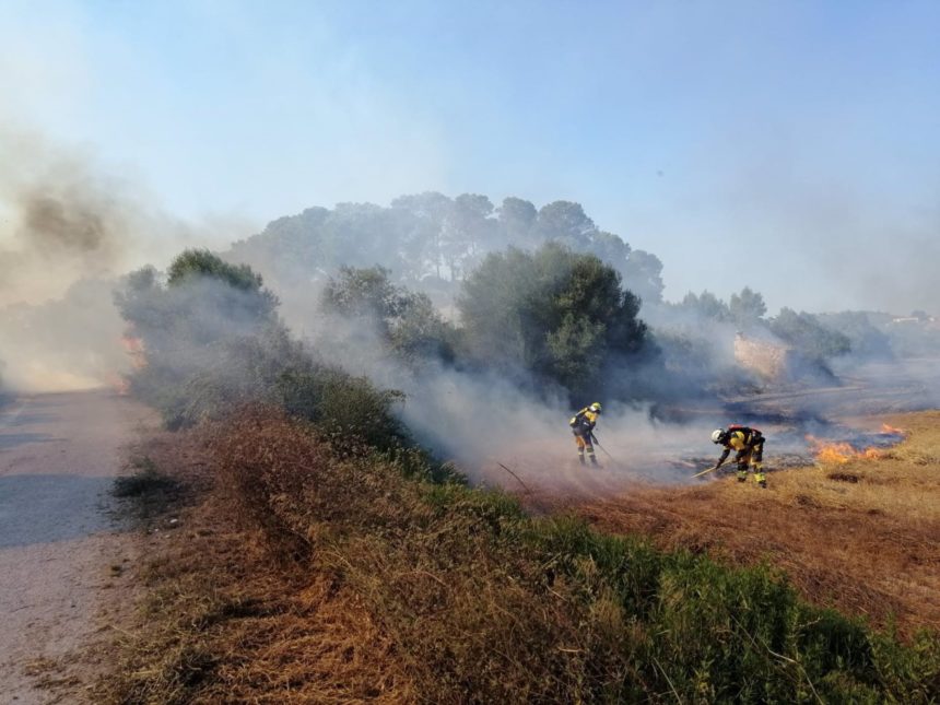 Los incendios forestales queman 113,15 hectáreas en Baleares en lo que va de año