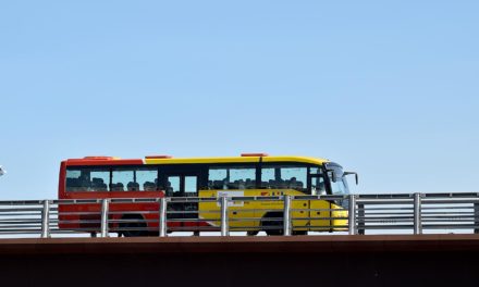 El Día de Baleares el transporte público de la red TIB será gratuito