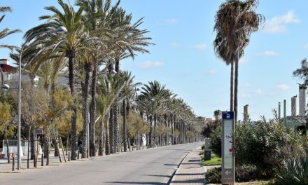 El Ayuntamiento de Palma cerrará todos los domingos hasta abril el tráfico rodado de un tramo de la primera línea de la Playa