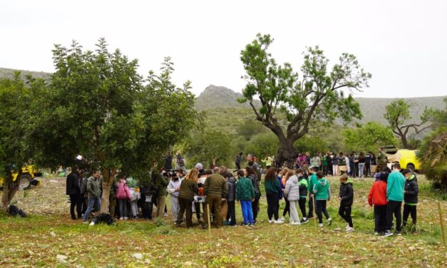 Más de 4.000 alumnos participan en las actividades de Xarxa Forestal durante el último año escolar