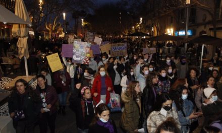 Miles de personas reclaman en Palma la eliminación de la brecha salarial y el fin de la violencia machista