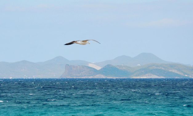 Interceptan dos nuevas pateras este jueves al sur de Formentera con 24 personas a bordo, una de ellas ya fallecida