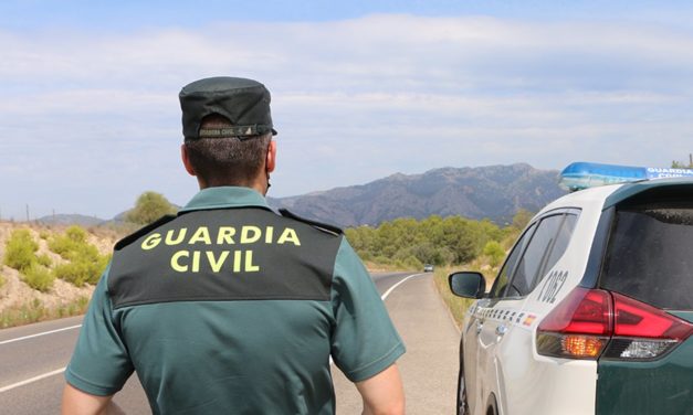 VOX en el Consell de Mallorca quiere reforzar la seguridad ciudadana en Mallorca con más personal y medios