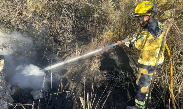 Extinguido el incendio forestal en el Puig de Can Mateu de Capdepera