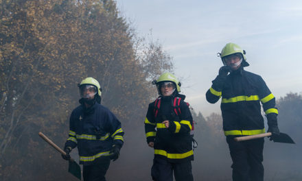 Los incendios forestales queman 8,92 hectáreas en Baleares en lo que va de año, según Ibanat