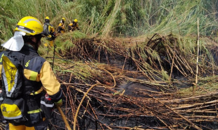 Extinguido el incendio forestal del torrent de Massanella, en Selva (Mallorca)