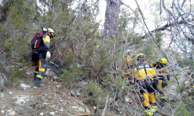 Extinguido un incendio forestal declarado en Llucmajor