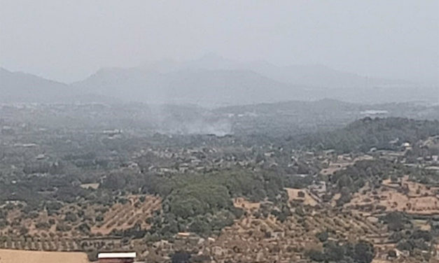 Declarado un incendio forestal en el torrent de Massanella, en Selva (Mallorca)