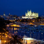 Palma de noche.