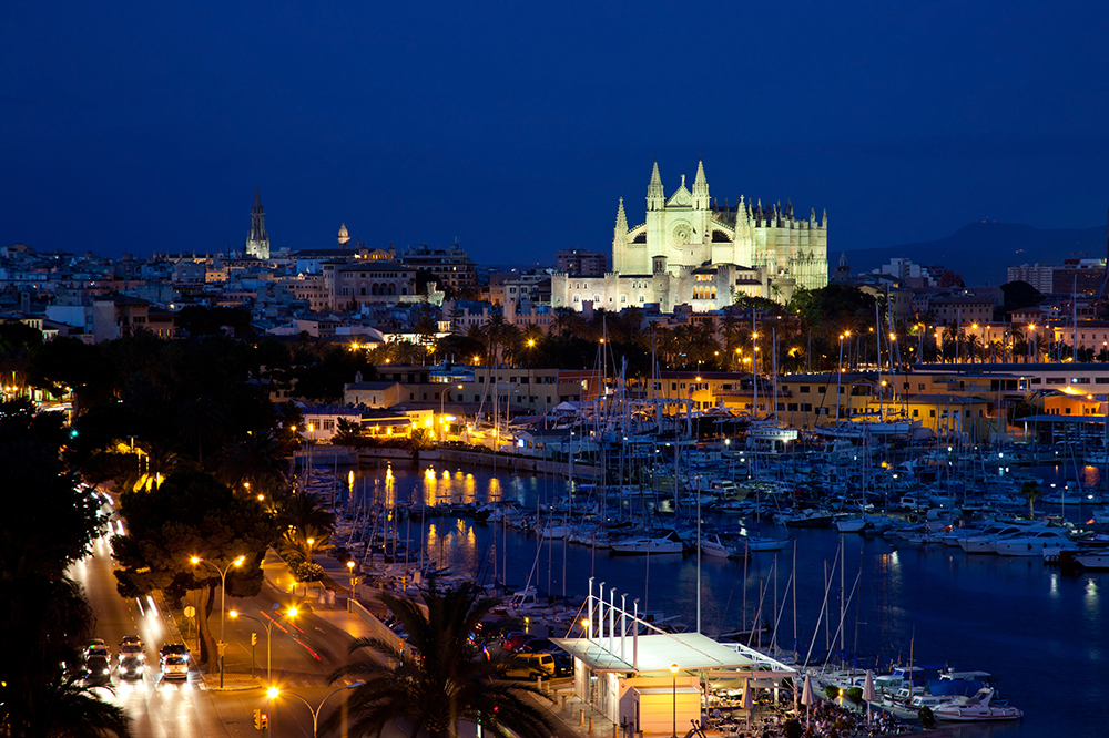 Palma de noche.