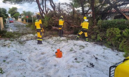 La tormenta deja en Menorca inundaciones y árboles caídos