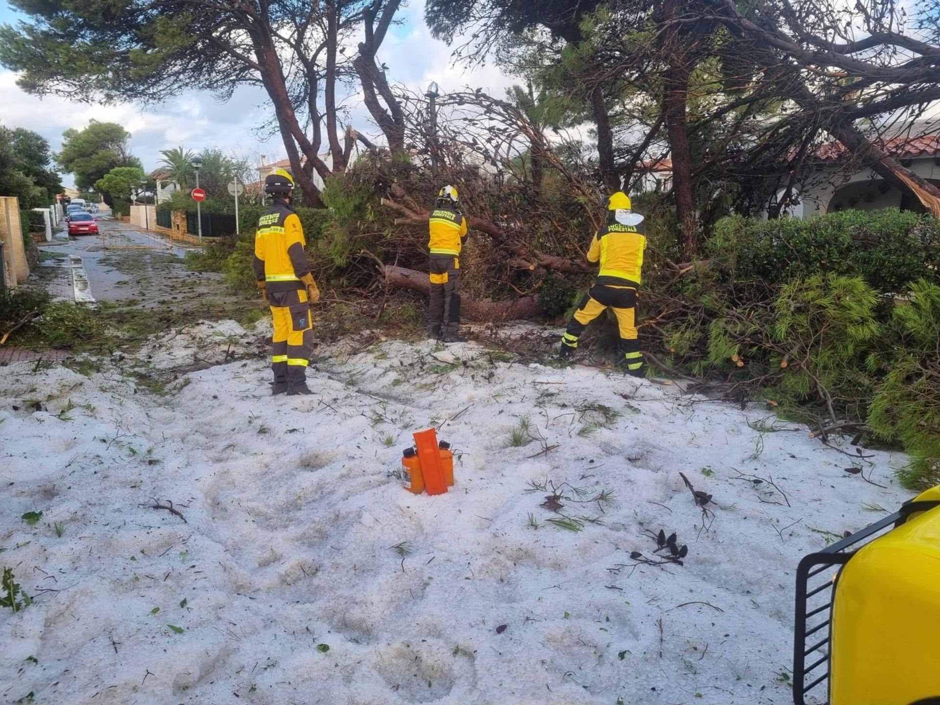 La tormenta deja en Menorca inundaciones y árboles caídos.