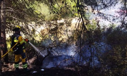 Los fuegos forestales queman 9,8 hectáreas en Baleares en lo que va de año
