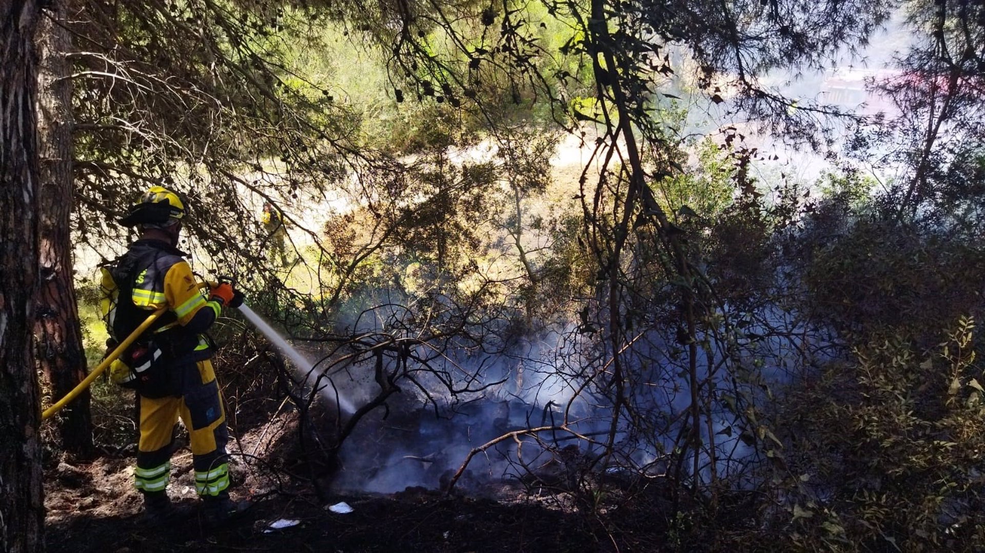 Fuegos forestales en Mallorca.