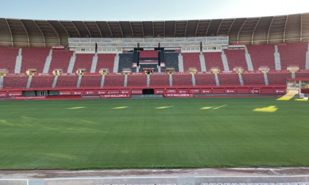 Negueruela insiste en que el procedimiento de patrocinio al RCD Mallorca es “absolutamente normal”