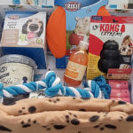 Primer premio (perros) del concurso de S'Animalada.