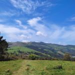Paisaje soleado