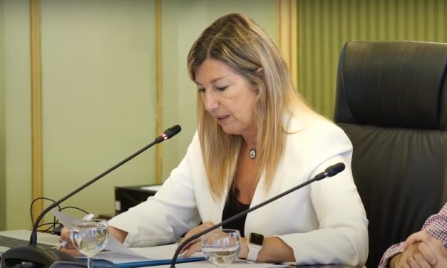 Gómez admite “demoras más largas de las deseables” en Atención Primaria