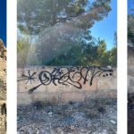 Vandalismo Llucmajor