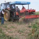 agricultores trabajando