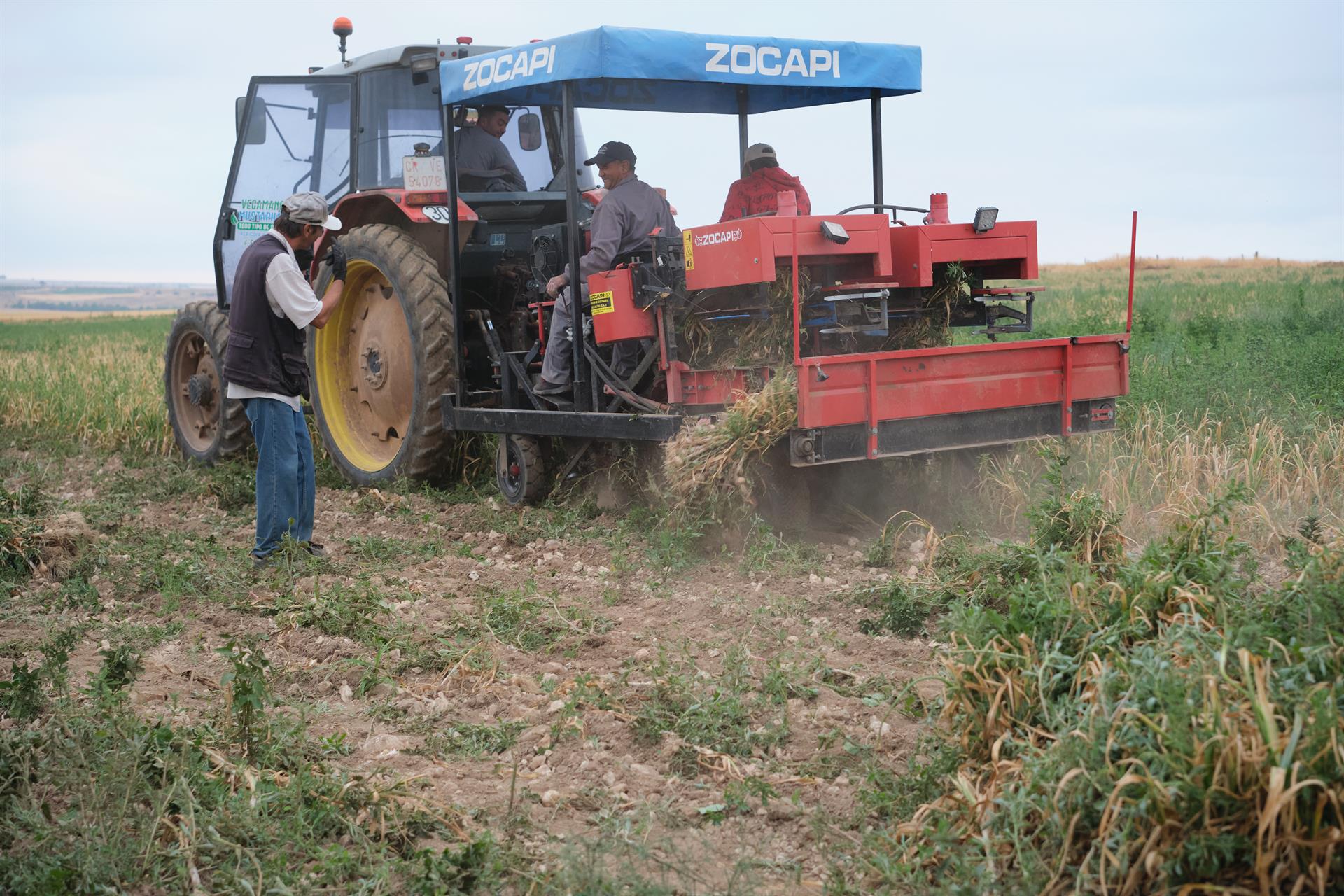 agricultores trabajando