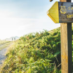 Camino de Santiago.