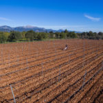 Celler Can Fumat Mallorca.