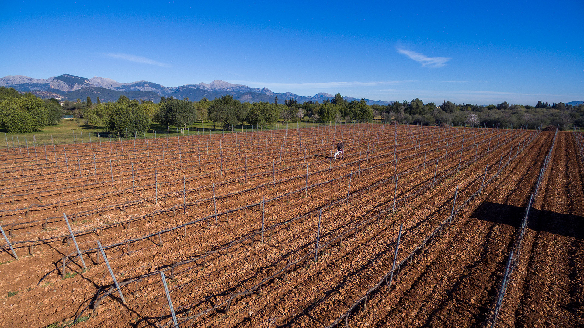 Celler Can Fumat Mallorca.