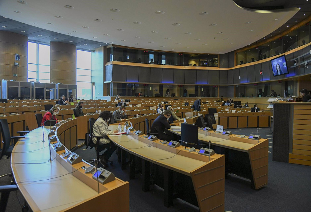 Comisión de Peticiones del Parlamento Europeo. - PARLAMENTO EUROPEO