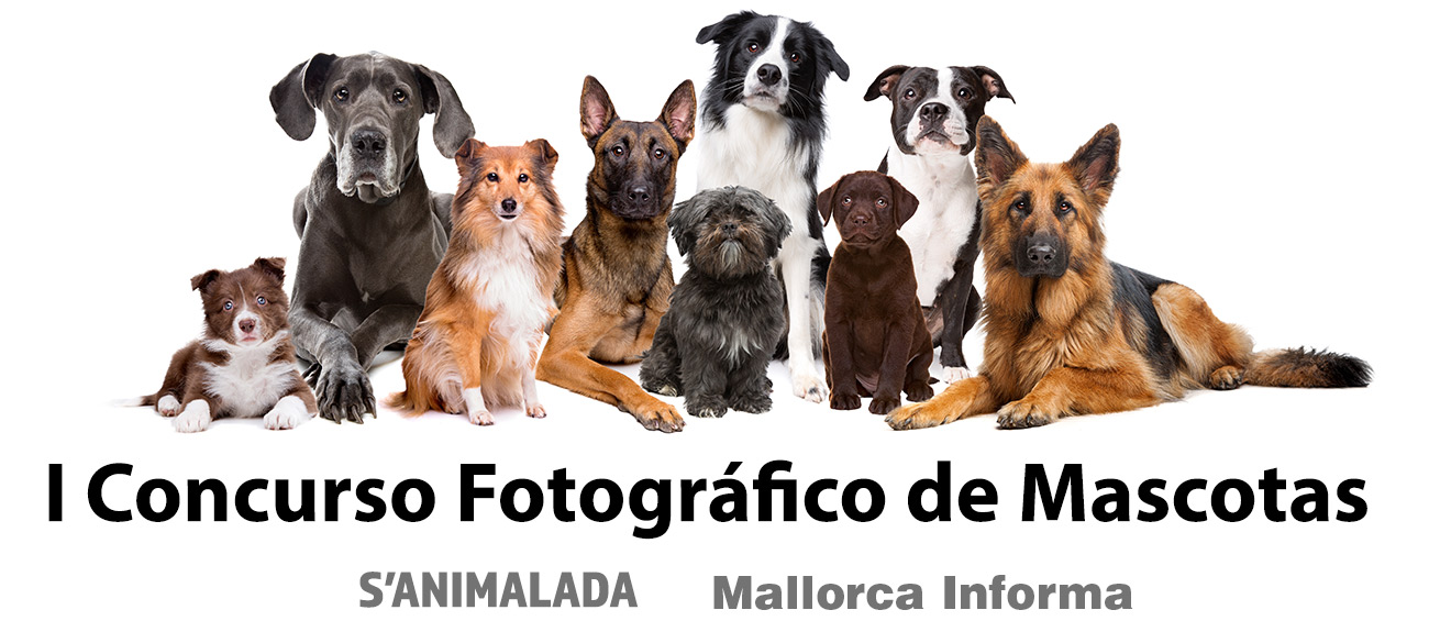 Concurso Fotográfico de Mascotas - S'Animalada - Mallorca Informa