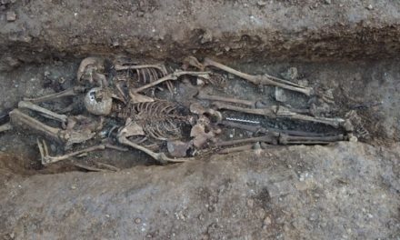 Identifican los restos de Aurora Picornell en la fosa de Son Coletes