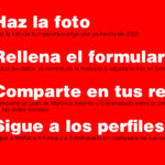 Concurso S'Animalada - Mallorca Informa.