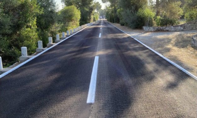 Carreteras pide precaución por caídas de árboles que afectan a diversas vías de Mallorca