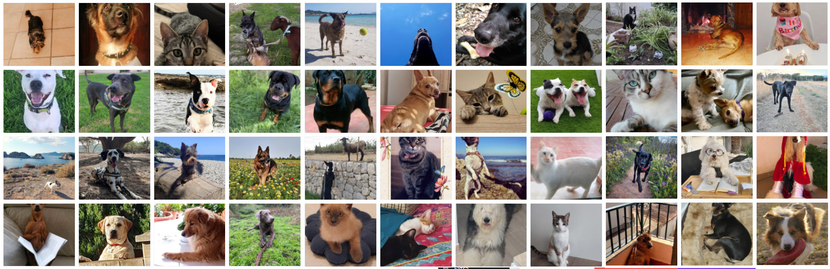 Participantes en el I Concurso Fotográfico de Mascotas S'Animalada - Mallorca Informa.