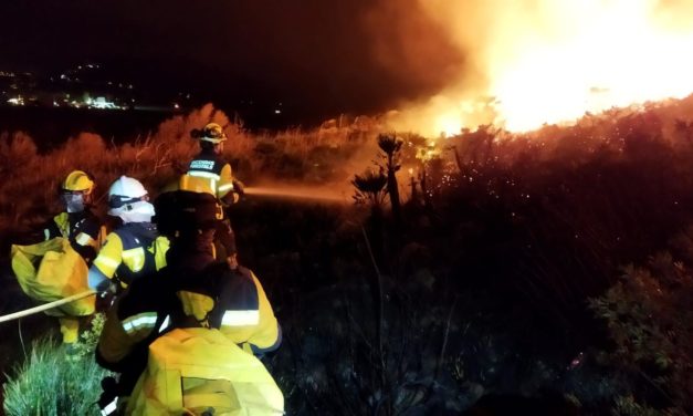 Los incendios forestales queman 10,90 hectáreas en Baleares en lo que va de año, según Ibanat