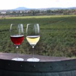 Vinos