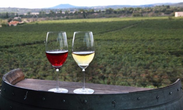 Los vinos de la Terra y con Denominación de Origen de Baleares aumentan su producción un 14% en 2021 y marcan récord