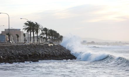 El fuerte viento deja 126 incidencias en Baleares, la mayoría por caída de árboles y desprendimientos
