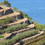 Serra de Tramuntana