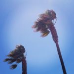 Viento