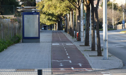 Vianants Mallorca acusa a Hila de “poner en peligro a los peatones” y de “dificultar la movilidad de las bicicletas”