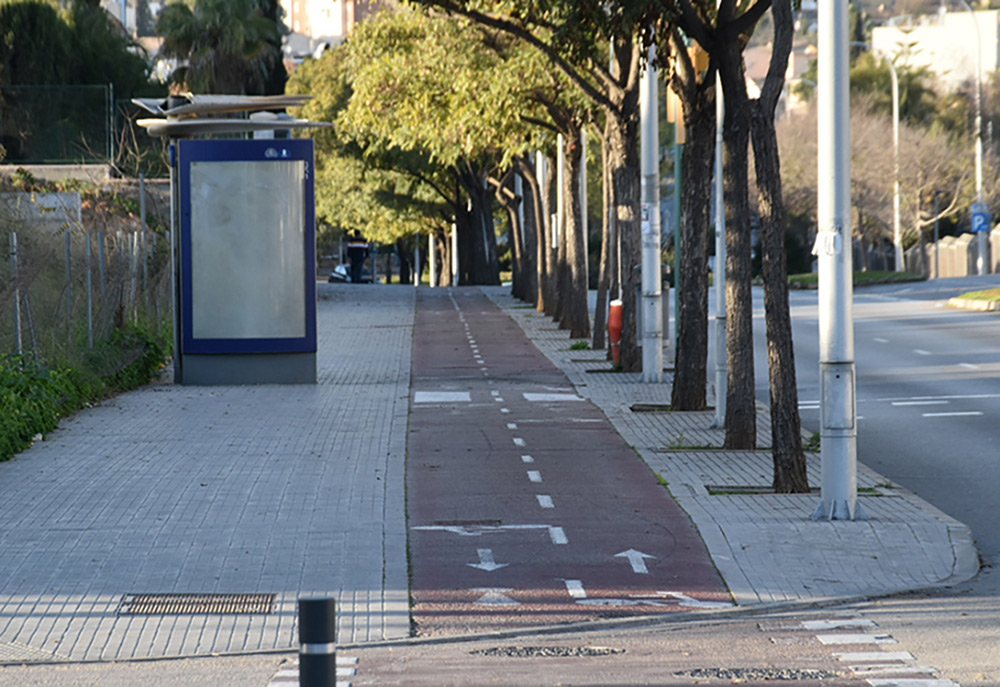 Un carril bici en la ciudad de Palma. Foto: Mallorca Informa.
