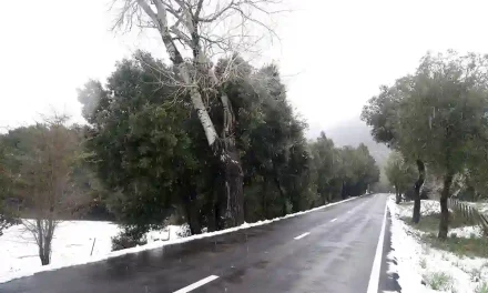 Abren todos los tramos cerrados por la nieve en la Serra de Tramuntana